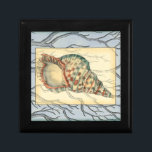 Boîte À Souvenirs Branches des coquillages et des arbres<br><div class="desc">Jennifer Goldberger possède une collection extraordinaire d'oeuvres d'art qui capturent les joyaux de l'océan. Dans cette belle peinture nautique classique,  ce coquillage est l'objet principal avec des branches d'arbres uniques dans l'arrière - plan. Obtenez cette peinture translucide sur vos produits préférés dès aujourd'hui !</div>
