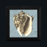 Boîte À Souvenirs Coque conique en pierre<br><div class="desc">Obtenez cette image de coquillage Conch en pierre unique sur votre prochain produit. Cet arrière - plan bleu et extraordinaire avec un conc bronzé aura l'air parfait sur n'importe quoi. Emmenez la plage avec vous partout où vous allez.</div>