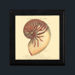 Boîte À Souvenirs Coque conique rouge vintage<br><div class="desc">Dans cette image vive, vous pouvez voir en vintage style naturel et unique de la coquille de conc rouge de près. Ce type unique d'art a des ombres noires et rouges pour accentuer la spirale de cette coquille de conque. Obtenez cette coque de conque avec un arrière - plan sépia...</div>