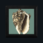Boîte À Souvenirs Coque conique turquoise<br><div class="desc">Dans cette belle coquille de conque noire et blanche classique, vous pouvez voir l'ombrage d'un coquillage naturel très pointu et clair. On peut s'imaginer à la chasse à la plage pour les coquillages ou jouer dans le sable. Obtenez dès aujourd'hui cette coquille de conque turquoise de style nautique sur vos...</div>