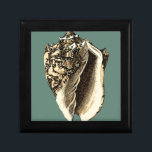 Boîte À Souvenirs Coque conique turquoise<br><div class="desc">Dans cette belle coquille de conque noire et blanche classique, vous pouvez voir l'ombrage d'un coquillage naturel très pointu et clair. On peut s'imaginer à la chasse à la plage pour les coquillages ou jouer dans le sable. Obtenez dès aujourd'hui cette coquille de conque turquoise de style nautique sur vos...</div>