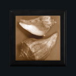 Boîte À Souvenirs Coques sensuelles<br><div class="desc">Renee W. Stramel capture ces coquilles de conches dans un magnifique ton sépia. Cette oeuvre d'art vintage s'ajoute parfaitement aux amateurs d'anémones de mer. Obtenez votre impression artistique dès aujourd'hui sur votre produit.</div>