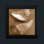 Boîte À Souvenirs Coques sensuelles<br><div class="desc">Renee W. Stramel capture ces coquilles de conches dans un magnifique ton sépia. Cette oeuvre d'art vintage s'ajoute parfaitement aux amateurs d'anémones de mer. Obtenez votre impression artistique dès aujourd'hui sur votre produit.</div>