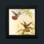 Boîte À Souvenirs Deux colibris colorés qui veulent la même fleur<br><div class="desc">L'artiste John Gould était passionné par les oiseaux. Dans ce dessin coloré,  les deux colibris et la fleur sont magnifiquement représentés. Les détails de ce bel art coloré raviront les amateurs d'art.</div>
