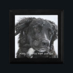 Boîte À Souvenirs Don Photo De Chien Pour Maman Et Papa Du Chien<br><div class="desc">Une boîte cadeau de Noël de gardien de votre chien,  avec votre animal de compagnie bien-aimé ou la photo d'animaux de compagnie. Remplacez cet exemple de photo par une photo de votre chien sucré.</div>
