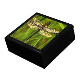Boîte À Souvenirs Dragonfly Artistique En Brown Et Jaune Sur Vert