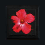 Boîte À Souvenirs Fleur d'Hibiscus rouge rose chaud sur noir<br><div class="desc">Belle photo d'une fleur d'Hibiscus rouge rose chaud sur le noir par l'artiste Sandra Marie Closs. Ajoutez votre propre texte, nom ou monogramme pour créer le produit parfait pour toute occasion. Mariage, fête de la mariée jardin, sympathie, anniversaire, baby shower, toute célébration ou juste pour rendre votre journée un peu...</div>