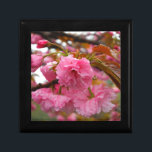 Boîte À Souvenirs Fleurs de fleurs de cerisier rose chaud<br><div class="desc">Fleurs de fleurs de cerises roses chaudes Photo de Sandy Closs prise au lac Arrowhead Rose,  fleur,  fleurs,  floral,  printemps,  cerise,  cerises,  jardin,  mariage,  mariages, </div>