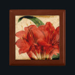 Boîte À Souvenirs Floral vibrant VIII<br><div class="desc">Floral</div>