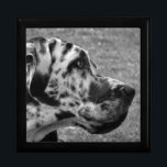 BOÎTE À SOUVENIRS GRAND DANE<br><div class="desc">Un beau design noir et blanc d'un chien de Grande Danse. Angleterre Royaume-Uni.</div>
