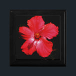Boîte À Souvenirs Hibiscus rouge<br><div class="desc">Hibiscus rouge L'Hibiscus à fleurs est un plante à fleurs de la famille des Malvaceae. Il est assez grand, contenant plusieurs centaines d'espèces indigènes aux régions tempérées chaudes, subtropicales et tropicales à travers le monde. Envoyez un message à sandycloss@gmail.com ou sandycloss.smugmug.com si vous souhaitez voir l'une de ces conceptions sur...</div>