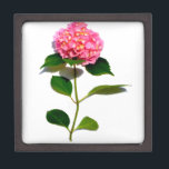 Boîte À Souvenirs Hydrangea rose<br><div class="desc">Romantique élégant rose hydrangea - photo de H Cooper</div>