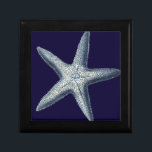 Boîte À Souvenirs Indigo Shells IV<br><div class="desc">Marine</div>
