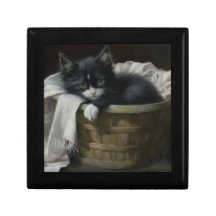 Kittens Cosy Corner