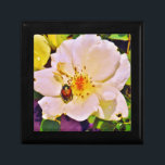 Boîte À Souvenirs Le scarabée japonais sur la rose blanche<br><div class="desc">Belle photo d'un scarabée japonais sur Rose jaune blanche par l'artiste Sandra Marie Closs. Ajoutez votre propre texte, nom ou monogramme pour créer le produit parfait pour toute occasion. Mariage, fête de mariée jardin, sympathie, anniversaire, baby shower, toute célébration ou juste pour rendre votre journée un peu plus agréable. floral,...</div>