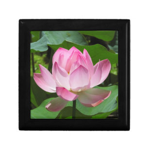 Boîte À Souvenirs Lotus Bloom rose
