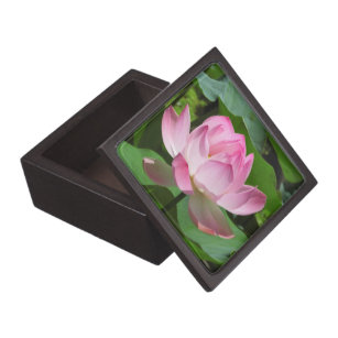 Boîte À Souvenirs Lotus Bloom rose