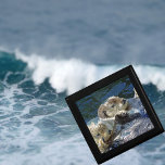 Boîte À Souvenirs Loutres de mer<br><div class="desc">Photo de loutres de mer par New Forest Pics</div>