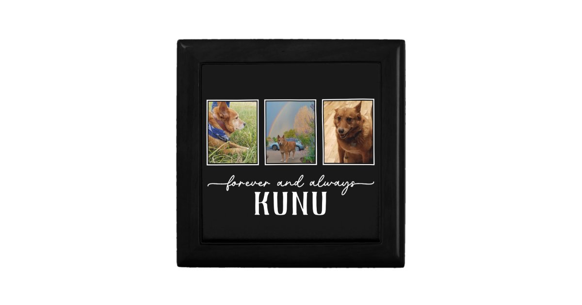 Pendentif Souvenir Pour Poils D'animaux - 3 Pièces, Capsule Transparente, Porte-clés Chien Chat