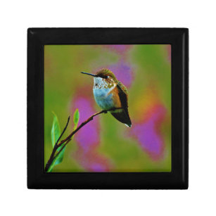 Boîte À Souvenirs Petit colibri gras