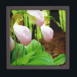 Boîte À Souvenirs Pink Lady Slipper sauvage orchidée<br><div class="desc">Pink Lady Slipper sauvage orchidée Photo de Sandy Closs,  prise au lac Arrowhead Ga. Forme de glisse rose pâle avec veines roses foncées. Trouvé sauvage dans les bois,  sous quelques pins fleurs roses orchidées fleurs florales florales mariage nature sympathie printemps rose</div>