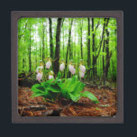Boîte À Souvenirs Pink Lady Slipper sauvage orchidée<br><div class="desc">Pink Lady Slipper sauvage orchidée Photo de Sandy Closs,  prise au lac Arrowhead Ga. Forme de glisse rose pâle avec veines roses foncées. Trouvé sauvage dans les bois,  sous quelques pins fleurs roses orchidées fleurs florales florales mariage nature sympathie printemps rose</div>