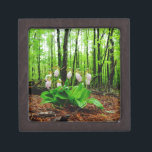 Boîte À Souvenirs Pink Lady Slipper sauvage orchidée<br><div class="desc">Pink Lady Slipper sauvage orchidée Photo de Sandy Closs,  prise au lac Arrowhead Ga. Forme de glisse rose pâle avec veines roses foncées. Trouvé sauvage dans les bois,  sous quelques pins fleurs roses orchidées fleurs florales florales mariage nature sympathie printemps rose</div>