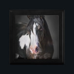 Boîte À Souvenirs Portrait de cheval II<br><div class="desc">Animaux</div>