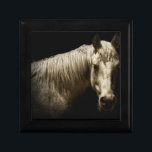 Boîte À Souvenirs Portrait de cheval VI<br><div class="desc">Animaux</div>