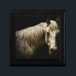 Boîte À Souvenirs Portrait de cheval VI<br><div class="desc">Animaux</div>