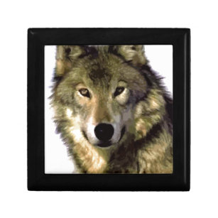 Boîte À Souvenirs Portrait de loup