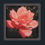 Boîte À Souvenirs rose de pêche et détritus<br><div class="desc">Rose peach lovely garden rose. perfect for a wedding, engagement bridal birthday or Send a message to sandycloss@gmail.com if you would like to see of these designs on a product not shown. Je veux gladly make a custom-made product just for you. Il s'agit de la création de fonds propres pour...</div>