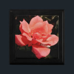 Boîte À Souvenirs rose de pêche et détritus<br><div class="desc">Rose peach lovely garden rose. perfect for a wedding, engagement bridal birthday or Send a message to sandycloss@gmail.com if you would like to see of these designs on a product not shown. Je veux gladly make a custom-made product just for you. Il s'agit de la création de fonds propres pour...</div>
