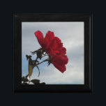 Boîte À Souvenirs Roses rouges contre un ciel bleu vif<br><div class="desc">Red Roses Against a Bright Blue Sky Photo de Sandy Closs,  prise au lac Arrowhead. Valentines, " Saint Valentin"rose rouge""roses rouges""rose rose""roses roses""mariages""cadeau d'amour""fleur rouge""fleurs rouges""fleurs rouges""fleurs rouges" rouge bleu rose "cadeaux aux roses"</div>