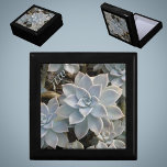 Boîte À Souvenirs Silvery Blue Succulents Botanique en bois<br><div class="desc">Les succulents Echeveria bleu argenté et vert avec des touches de rose et d'ombre foncée sont présentés sur cette belle et élégante boîte cadeau de conservation du bois. Il est sophistiqué et beau et un cadeau à chérir avec des initiales personnalisées. Cette image est une photo botanique originale de JLW_PHOTOGRAPHY...</div>