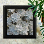 Boîte À Souvenirs Silvery Succulents Belle garde en bois<br><div class="desc">Les succulents Echeveria bleu argenté et vert avec des touches de rose et d'ombre foncée sont présentés sur cette belle et élégante boîte cadeau de conservation du bois. Il est sophistiqué et beau. Cette image est une photo botanique originale de JLW_PHOTOGRAPHY</div>