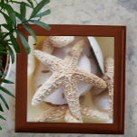 Boîte À Souvenirs Starfish and Sand Dollars en bois<br><div class="desc">De magnifiques trésors naturels de la boîte à bijoux en bois de la mer,  avec l'étoile de mer et le dollar de sable,  tiendront magnifiquement vos trésors. Cette image est une photo de plage originale de JLW_PHOTOGRAPHY</div>