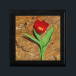 Boîte À Souvenirs Tulipe jaune et rouge<br><div class="desc">Tulipe rouge de printemps,  contre une roche brune au lac Arrowhead. Photo de Sandy Closs. Pâques,  floral,  fleurs rouges,  Printemps,  Saint-Valentin,  valentines,  mariage,  mariage,  Saint Valentin</div>