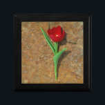 Boîte À Souvenirs Tulipe jaune et rouge<br><div class="desc">Tulipe jaune et rouge printanière,  roche brune au lac Arrowhead. Photo de Sandy Closs. Pâques,  floral,  fleurs rouges,  Printemps,  Saint-Valentin,  valentines,  mariage,  mariage,  Saint Valentin</div>