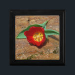 Boîte À Souvenirs Tulipe rouge du printemps<br><div class="desc">Tulipe rouge de printemps,  contre une roche brune au lac Arrowhead. Photo de Sandy Closs. Pâques,  floral,  fleurs rouges,  Printemps,  Saint-Valentin,  valentines,  mariage,  mariage,  Saint Valentin</div>