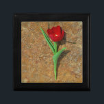 Boîte À Souvenirs Tulipe rouge et jaune<br><div class="desc">Tulipe rouge et jaune printanière,  contre une roche brune au lac Arrowhead. Photo de Sandy Closs. Pâques,  floral,  fleurs rouges,  Printemps,  Saint-Valentin,  valentines,  mariage,  mariage,  Saint Valentin</div>