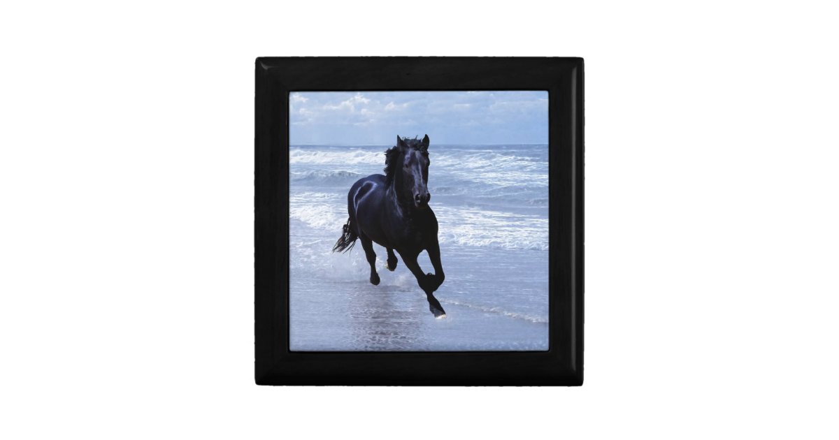 Boite A Souvenirs Un Cheval Sauvage Et Libre Zazzle Fr