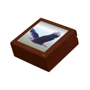 Boîte À Souvenirs Voler d'Eagle chauve