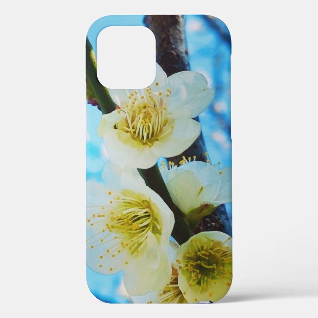 Boîte cadeau Cerry Blossoms Coque-Mate coque iphon (Verso)