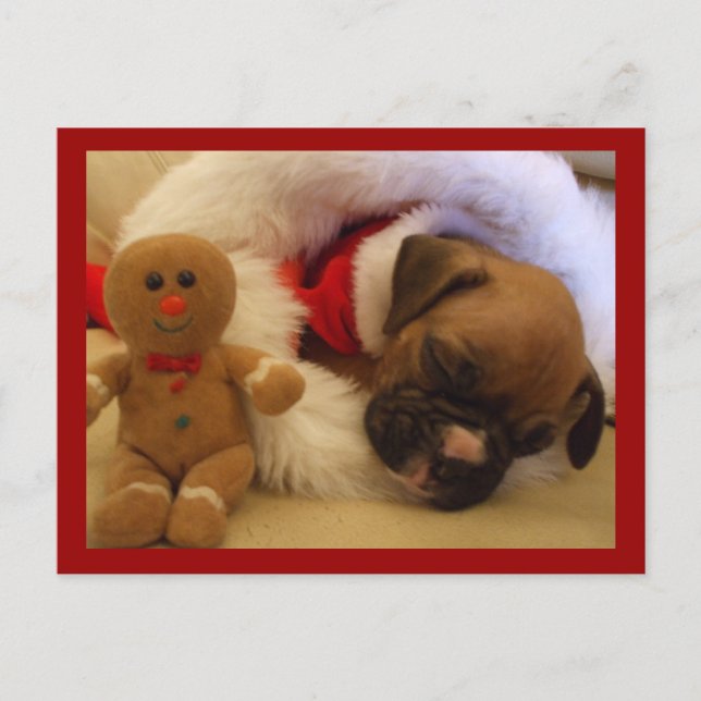 Boîte de Noël Sleepy Carte postale Puppy (Devant)