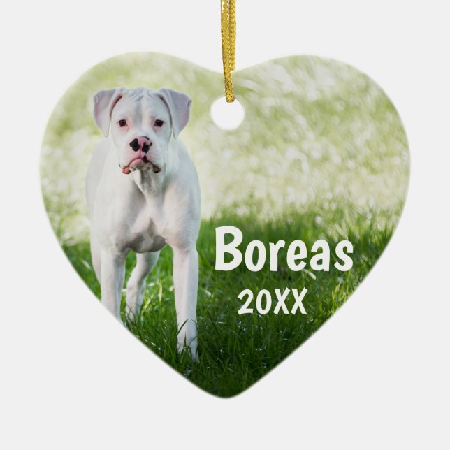 Boîtier blanc personnalisé ornement de chien de No (Devant)