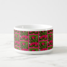 Bol de chili Bed of Roses