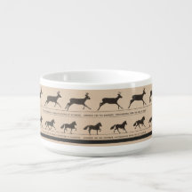 Zoetrope animation animale antique