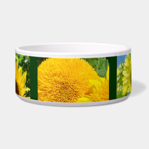 Bol vibrant jaune Tournesols Gamelle pour chien ea