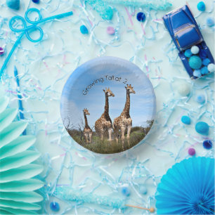 Bols En Carton Bol Safari Grandissant
